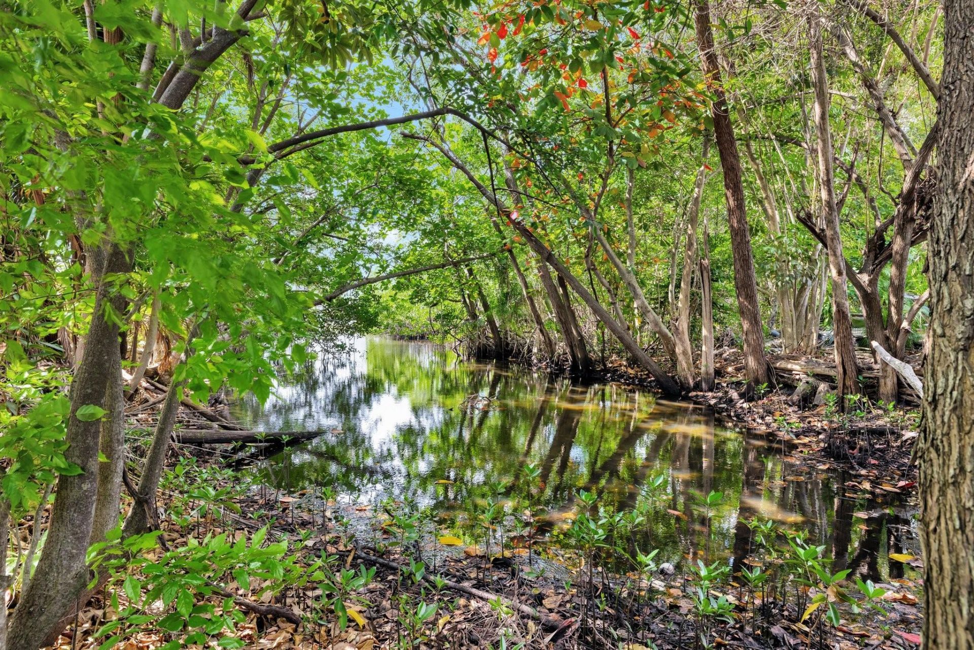 2017 N Dixie Hwy, Wilton Manors, FL 33305 Photo