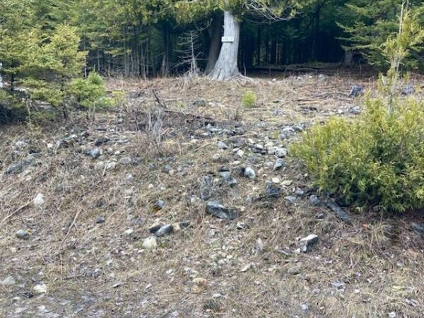 TBD Old Ferry Dock RD, Drummond Island, MI 49726