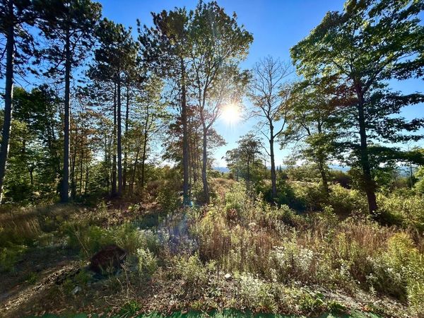 Map 11 Lot 8 Gray Road, Sangerville, ME 04479