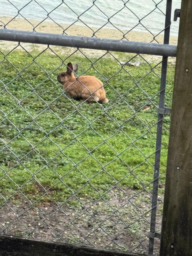 12355 NW 7th Ln, Miami, FL 33182 Photo