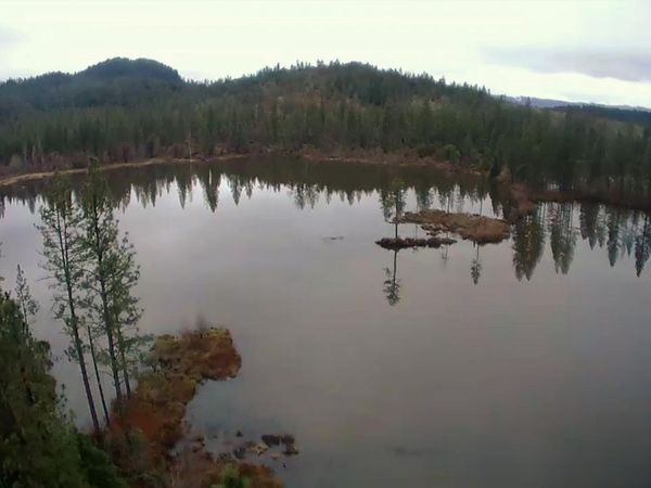 4990 Waldo Road, Cave Junction, OR 97523