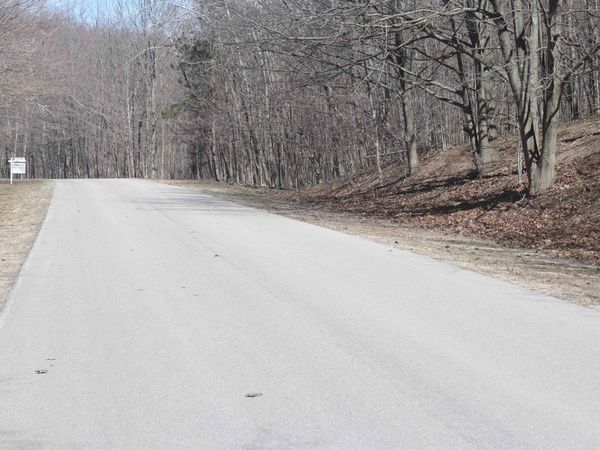 19 Crystal View Commons, Beulah, MI 49617