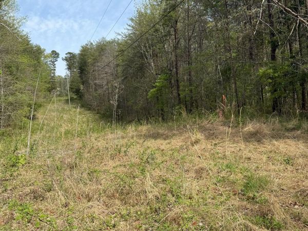 Citico Rd, Vonore, TN 37885