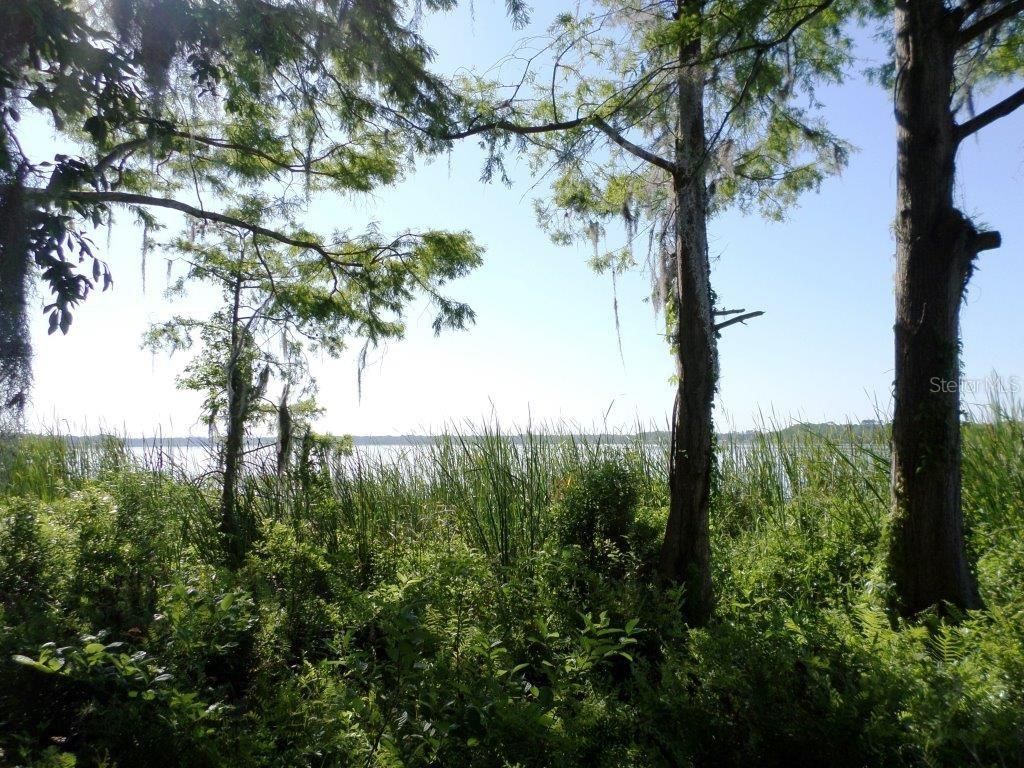 10150 Highway 40  E, Inglis, FL 34449 Photo