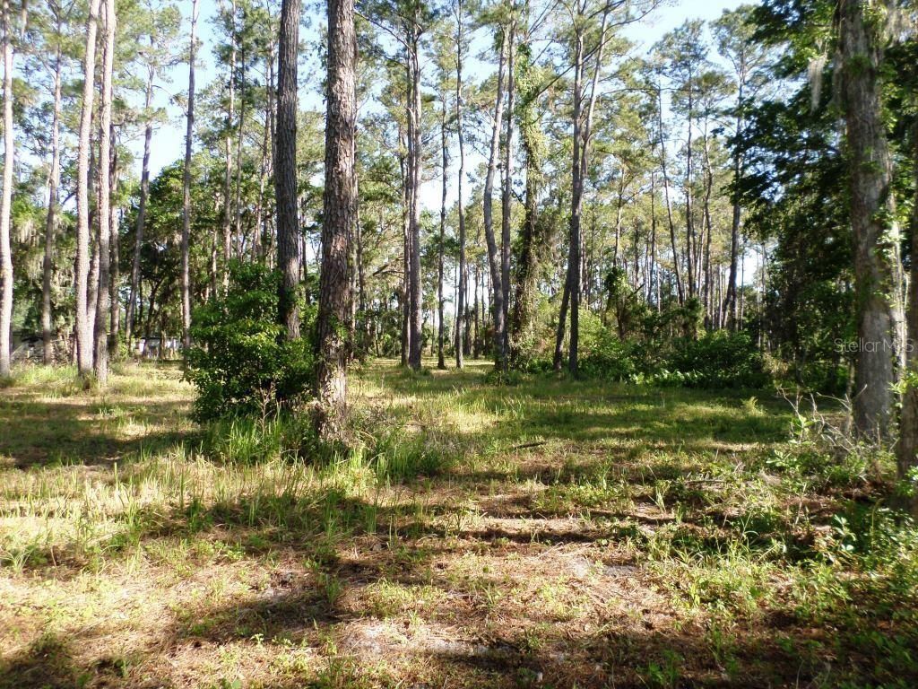 10150 Highway 40  E, Inglis, FL 34449 Photo
