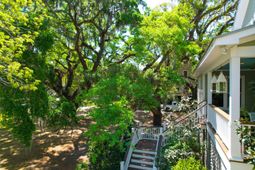 29 Morrison Avenue photo 4