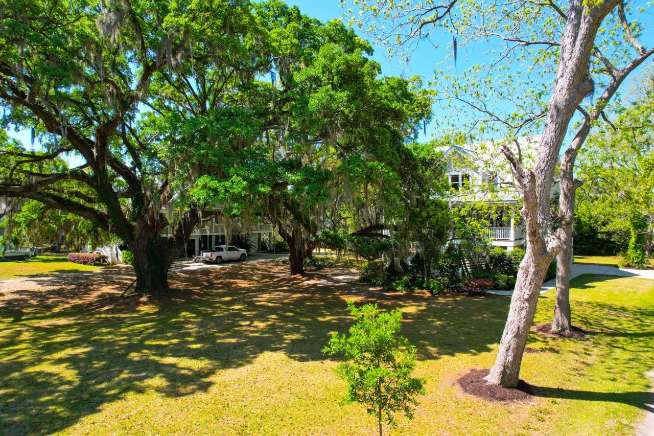 29 Morrison Avenue Photo 49