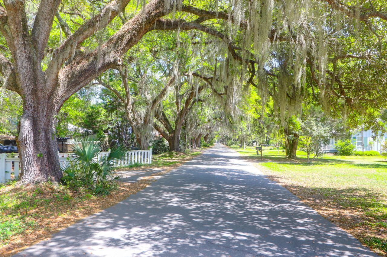 29 Morrison Avenue Photo 68