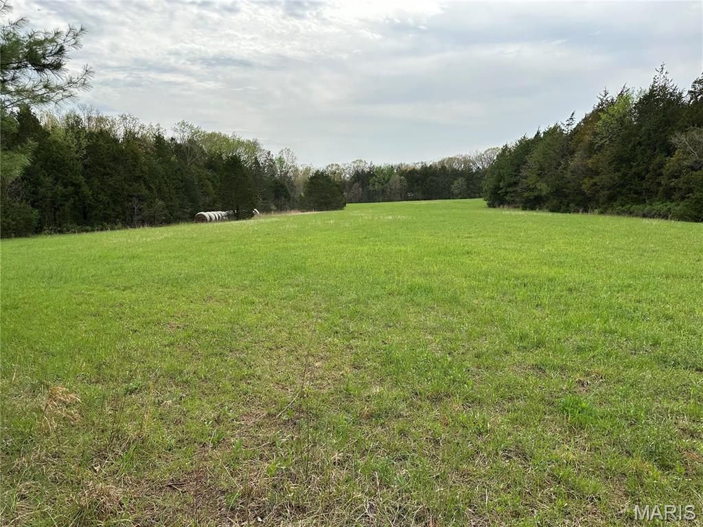 0 Butcher Branch Road, Unincorporated, MO 63050 Main Photo