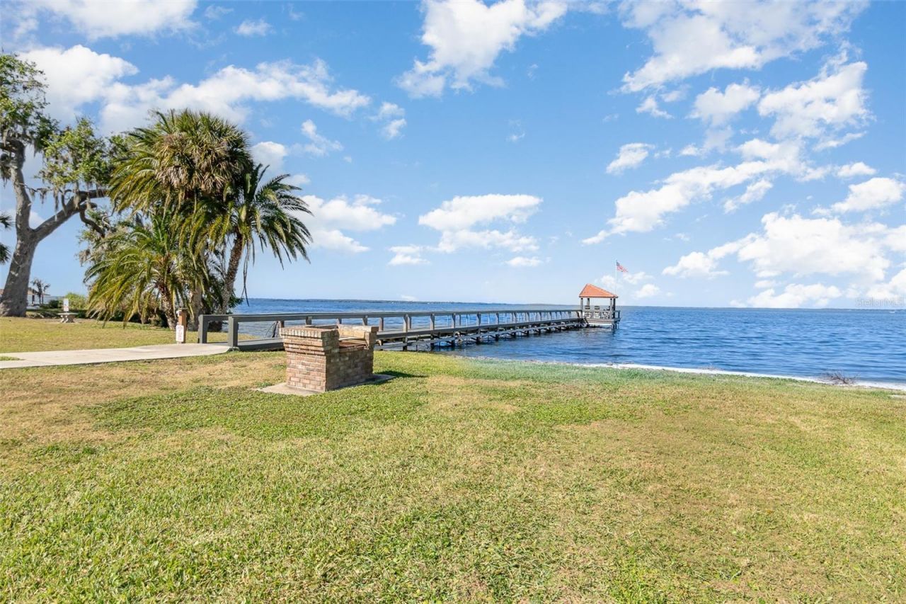 702 Clusterwood Drive, Yalaha, FL 34797 Photo