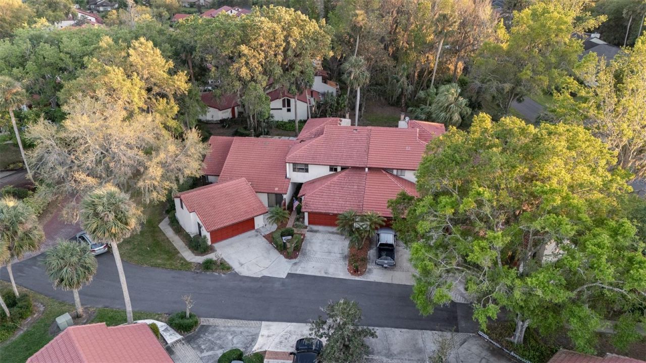 702 Clusterwood Drive, Yalaha, FL 34797 Photo