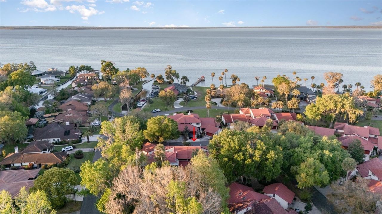 702 Clusterwood Drive, Yalaha, FL 34797 Photo