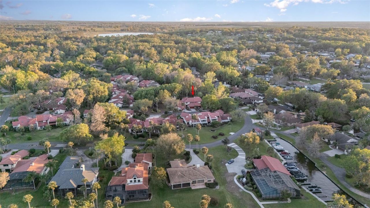 702 Clusterwood Drive, Yalaha, FL 34797 Photo