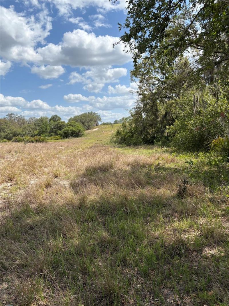 645 Dicks Road, Babson Park, FL 33827 Main Photo