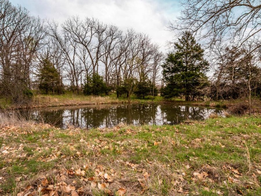 Property Image 64