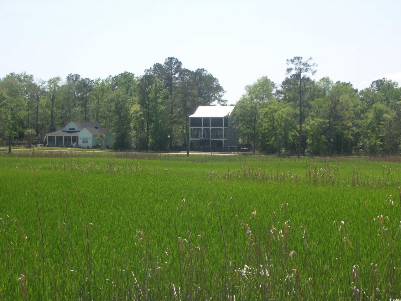 103 Pineberry Dr. Photo 19