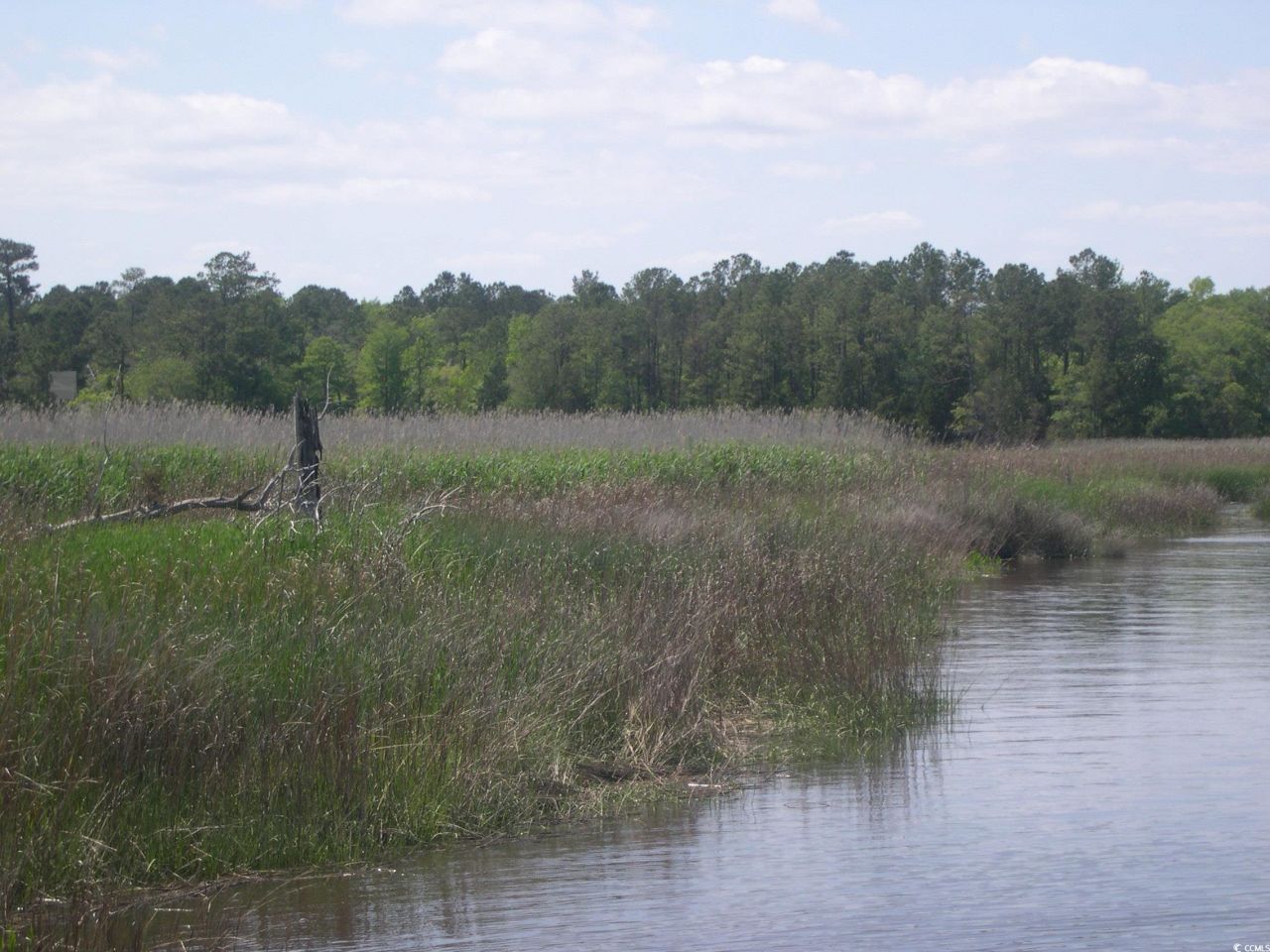103 Pineberry Dr. Photo 20