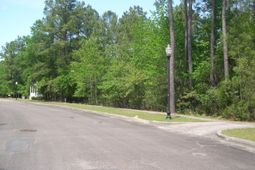 103 Pineberry Dr. photo 4