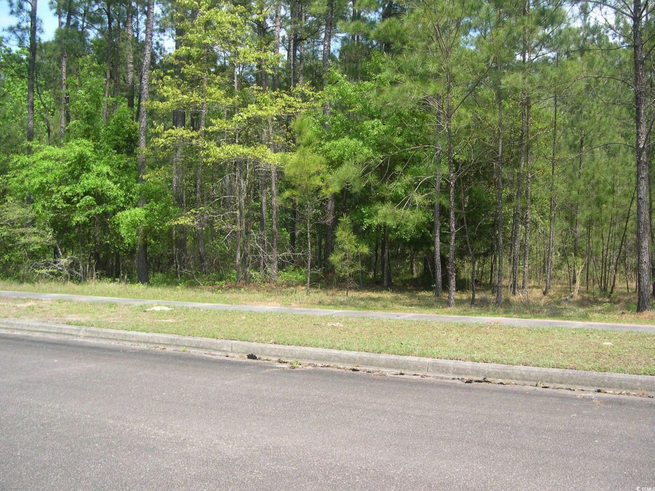 103 Pineberry Dr. Photo 4