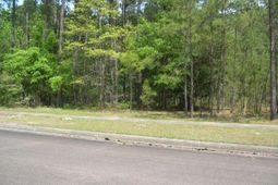 103 Pineberry Dr. photo 4