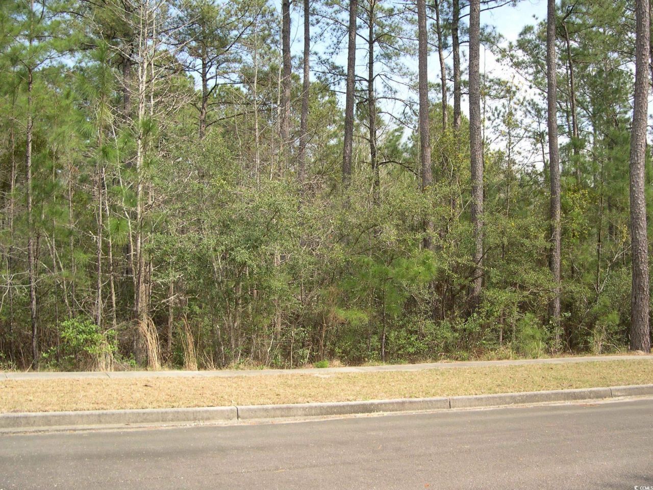 103 Pineberry Dr. Photo 5