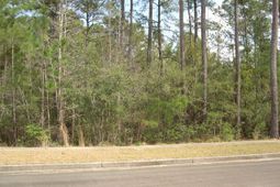 103 Pineberry Dr. photo 4