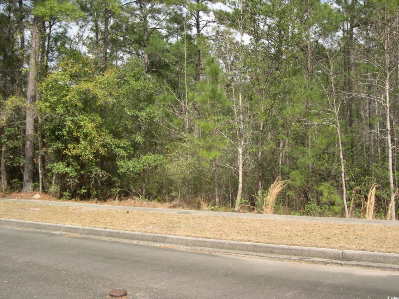 103 Pineberry Dr. Photo 6