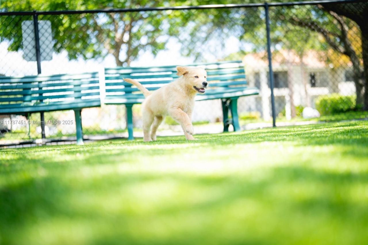 6503 N Military Trl, Unit Cyprus, Boca Raton, FL 33496 Photo