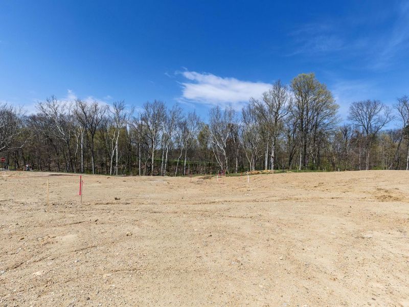 114 Stoneybank Drive, Unit #15692 Dev, Delaware, OH 43015 Photo 10