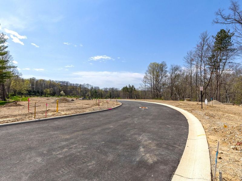 114 Stoneybank Drive, Unit #15692 Dev, Delaware, OH 43015 Photo 6