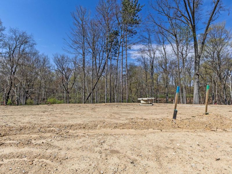 114 Stoneybank Drive, Unit #15692 Dev, Delaware, OH 43015 Photo 9