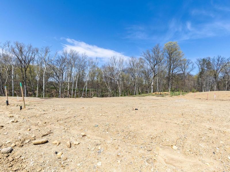 102 Stoneybank Drive, Unit #15694, De, Delaware, OH 43015 Photo 11