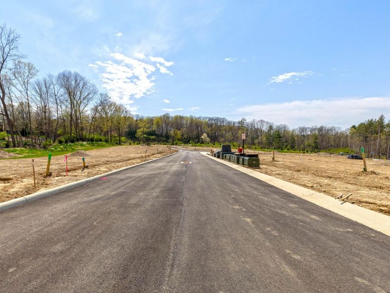 102 Stoneybank Drive, Unit #15694, De, Delaware, OH 43015 Photo 7