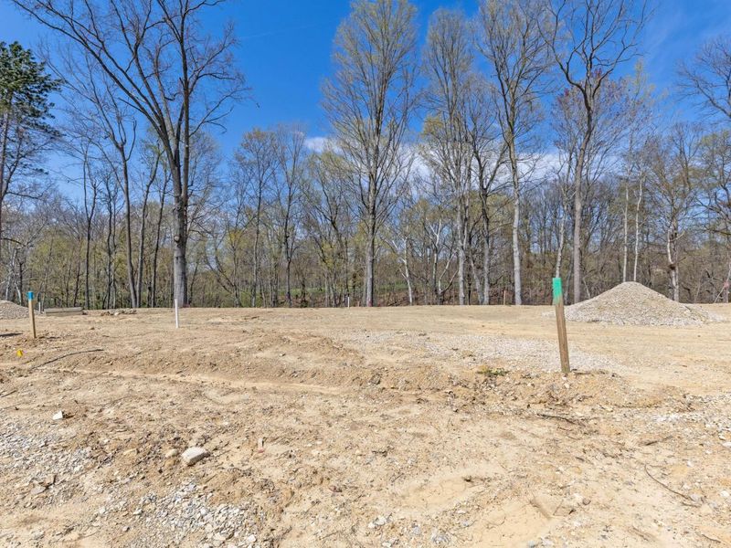 102 Stoneybank Drive, Unit #15694, De, Delaware, OH 43015 Photo 8