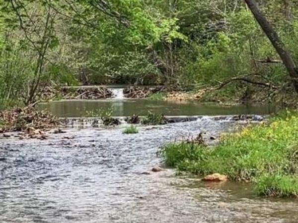 101 N Hwy, Middlebrook, MO 63656