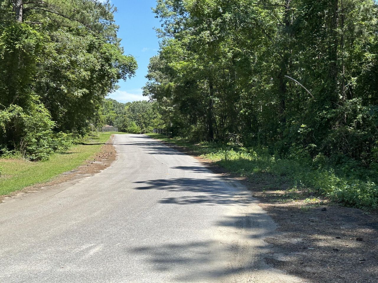 00 Sorin Circle Photo 4