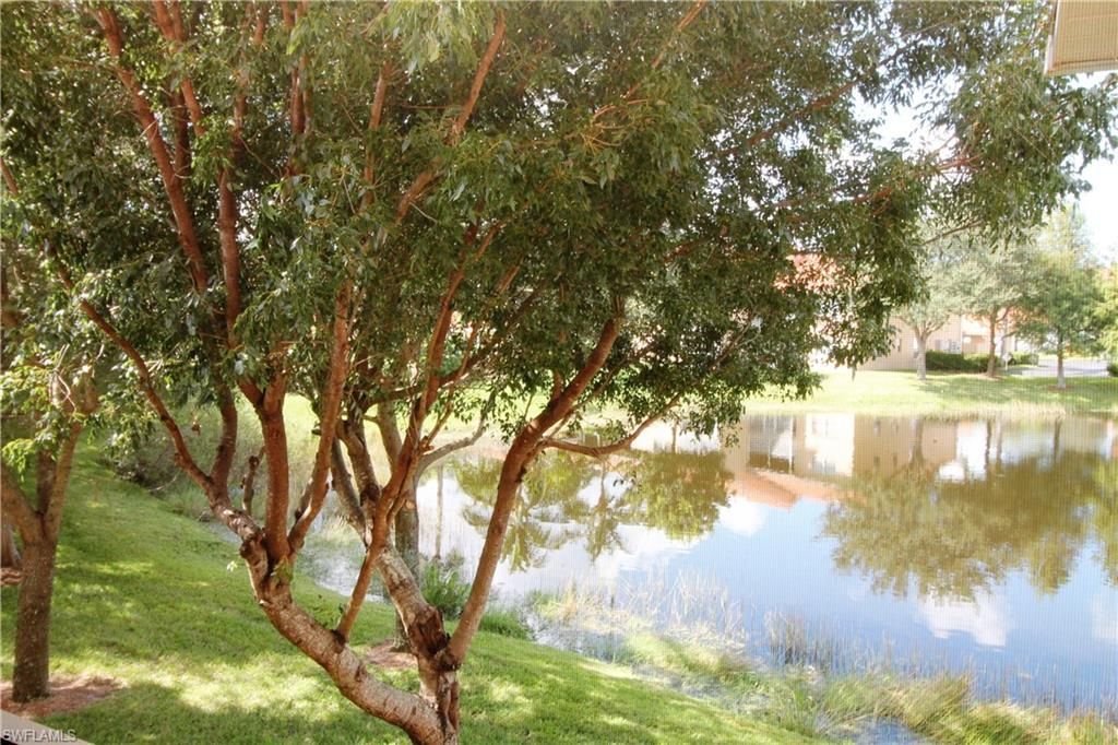 26760 Rosewood Pointe Ln, Unit 201, Bonita Springs, FL 34135 Photo