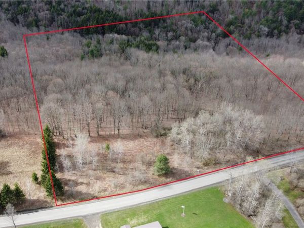 Pritchard Road, West Winfield, NY 13491