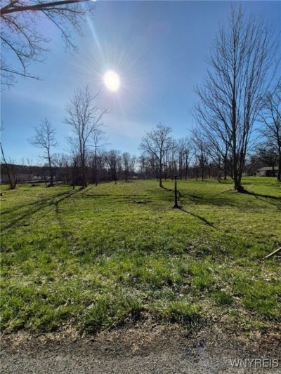 87 Center Street, Lockport, NY 14094 Main Photo