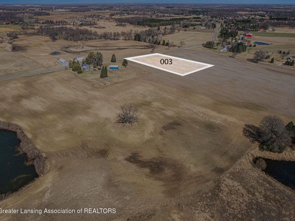 Lot 3 Dexter Trail, Dansville, MI 48819