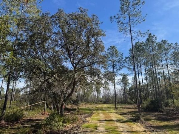 NE 150TH AVE ROAD, Unit LOT 3, FORT MC COY, FL 32134
