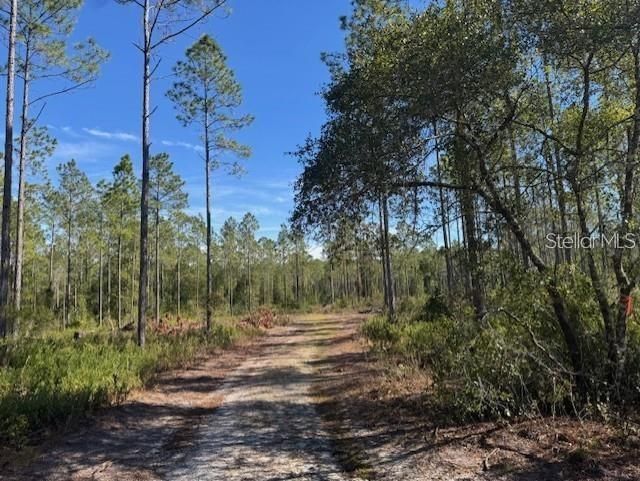 Ne 150th Ave Road, Lot #LOT 3, Fort Mc Coy, FL 32134 Photo