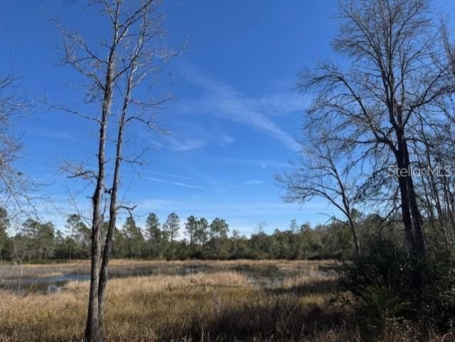 Ne 150th Ave Road, Lot #LOT 3, Fort Mc Coy, FL 32134 Photo