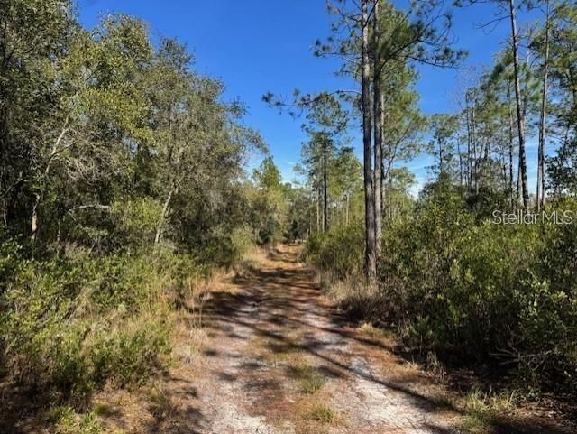 Ne 150th Ave Road, Lot #LOT 3, Fort Mc Coy, FL 32134 Photo