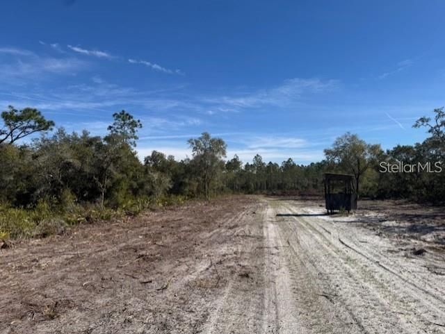 Ne 150th Ave Road, Lot #LOT 3, Fort Mc Coy, FL 32134 Photo