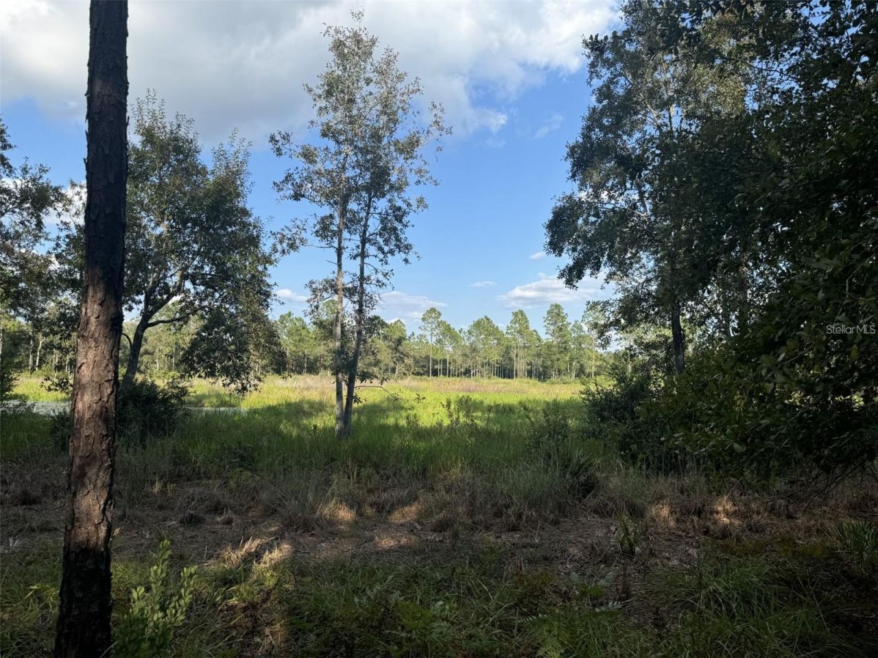 Ne 150th Ave Road, Lot #LOT 3, Fort Mc Coy, FL 32134 Photo