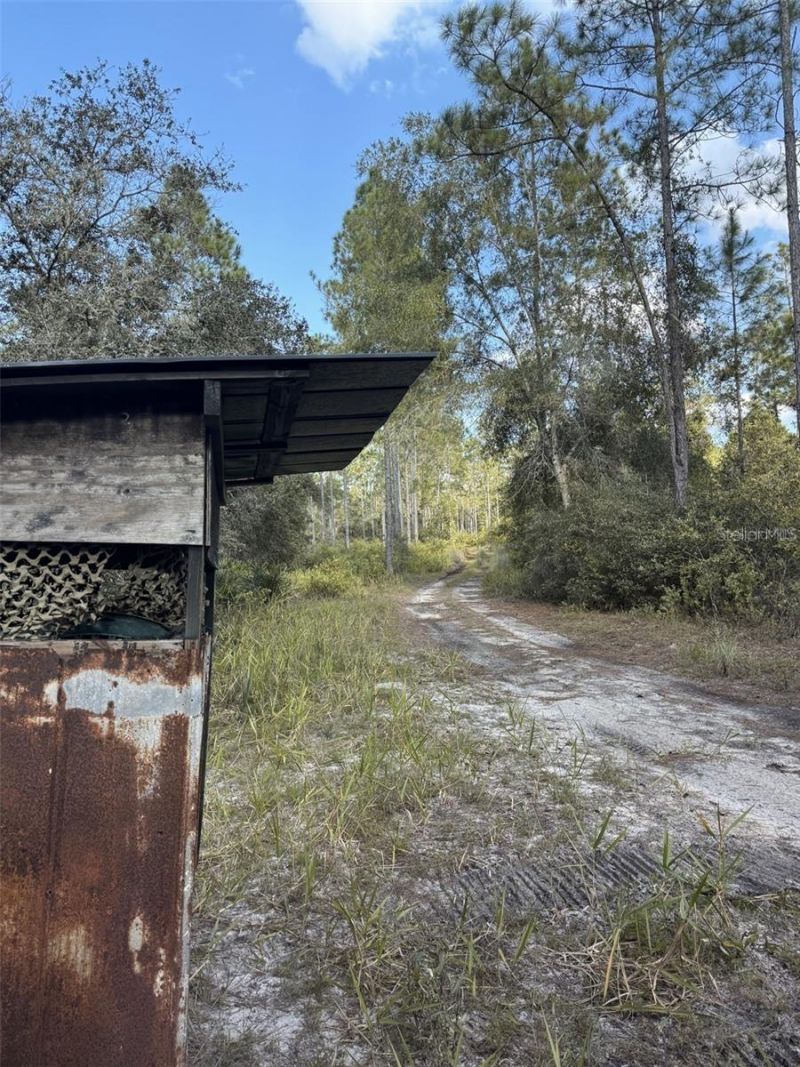 Ne 150th Ave Road, Lot #LOT 3, Fort Mc Coy, FL 32134 Photo