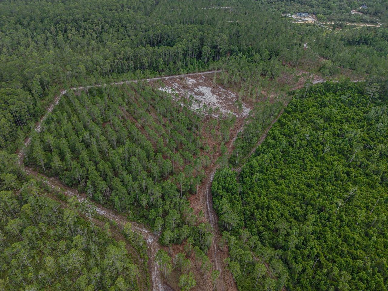 Ne 150th Ave Road, Lot #LOT 3, Fort Mc Coy, FL 32134 Photo