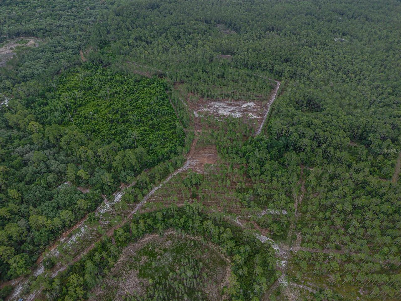 Ne 150th Ave Road, Lot #LOT 3, Fort Mc Coy, FL 32134 Photo