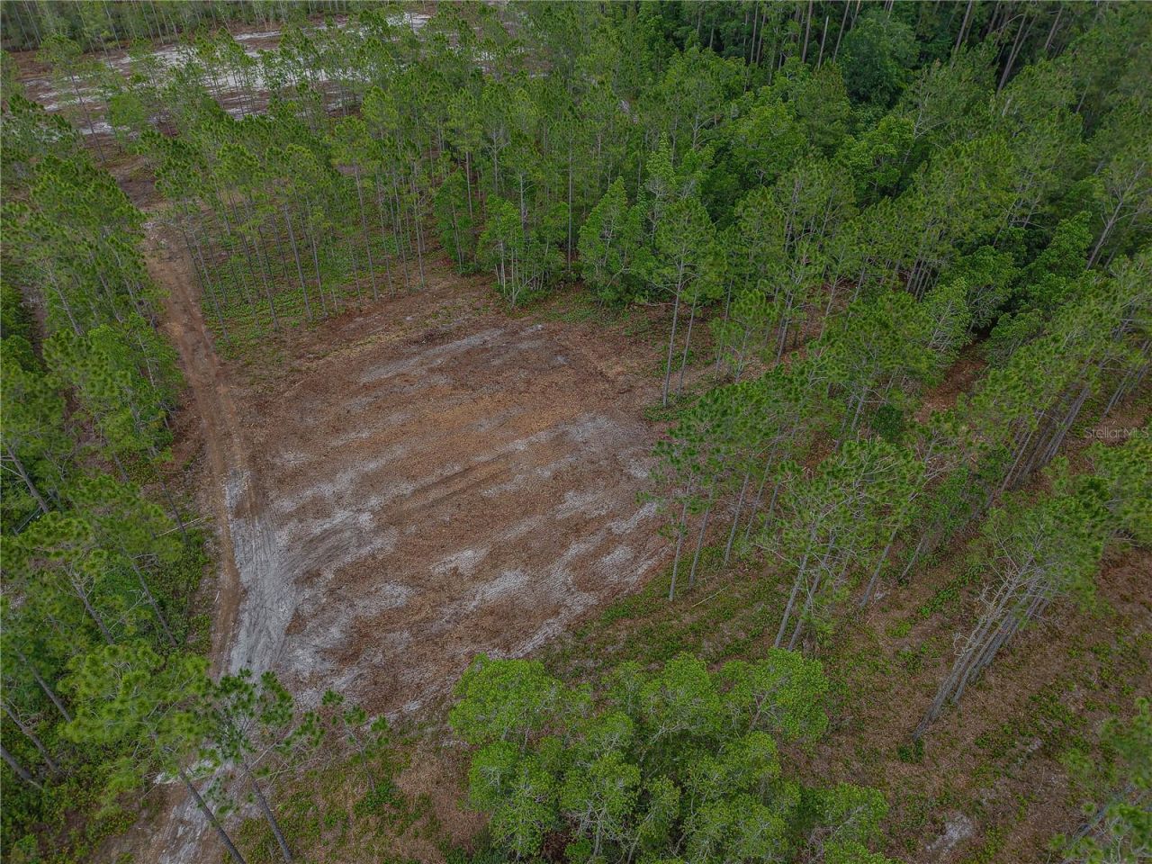 Ne 150th Ave Road, Lot #LOT 3, Fort Mc Coy, FL 32134 Photo